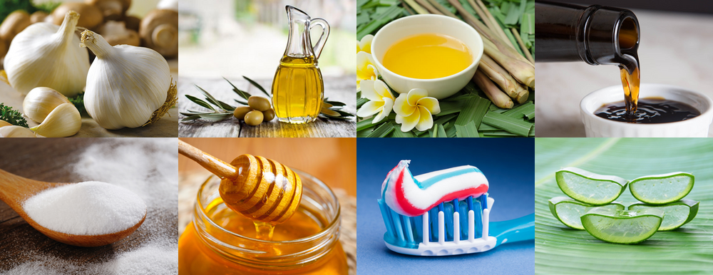 Natural Mosquito Repellents That Actually Work