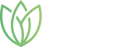 Aloe Infusion