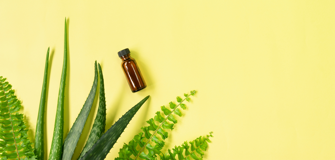 DIY Gluten Free Facial Cleanser & Body Wash