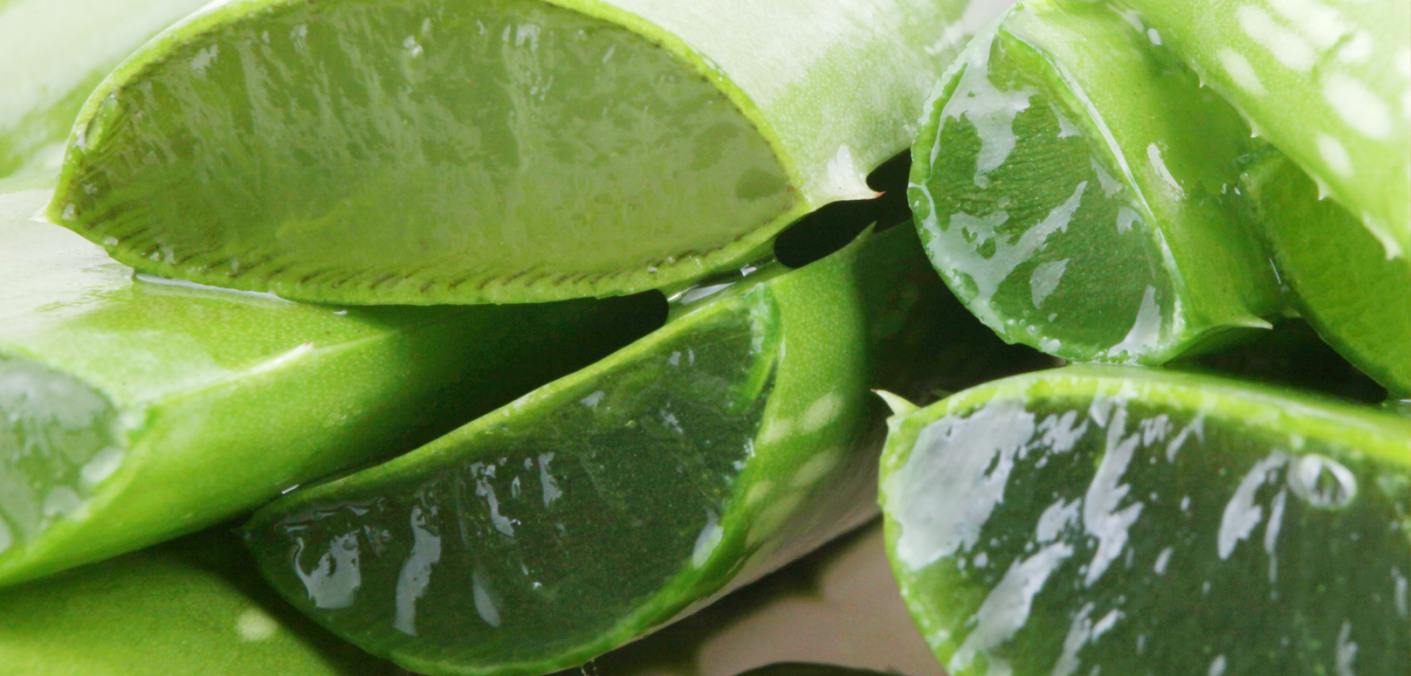 7 Great ways aloe vera heals your skin