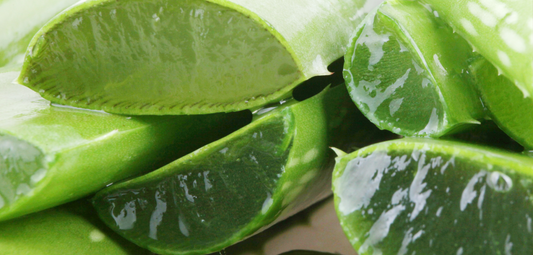7 Great ways aloe vera heals your skin