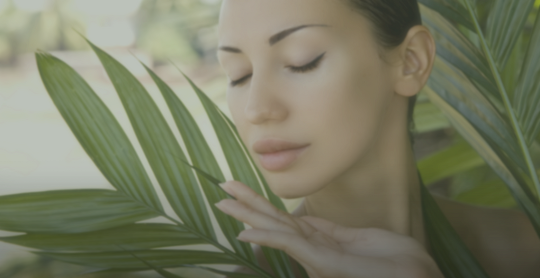 The Best Moisturizers to Transform Your Dry Skin Now